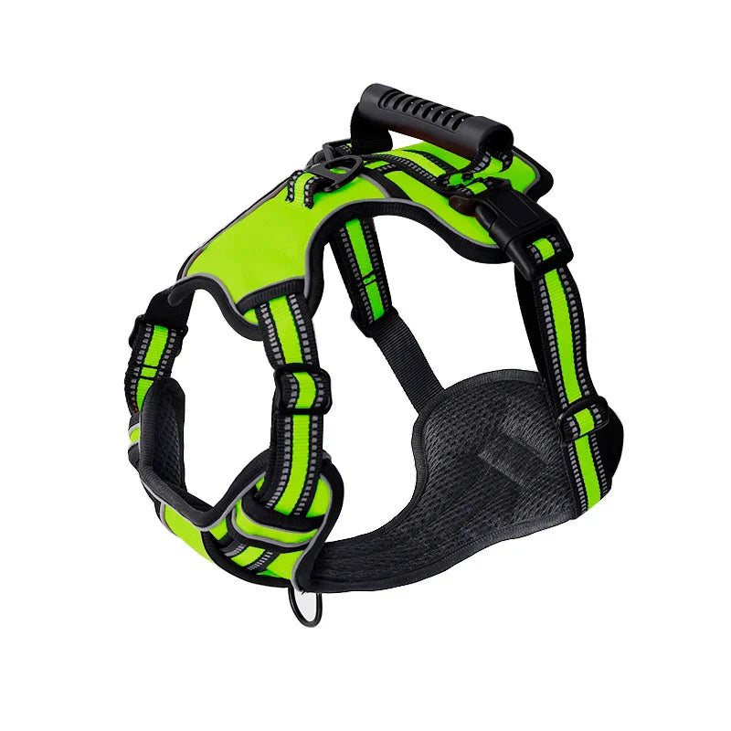 Vert / M,Vert / L,Vert / XL,Vert / S,Vert / XS
