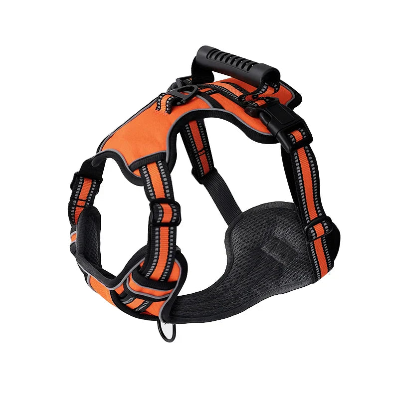 Orange / M,Orange / L,Orange / XL,Orange / S,Orange / XS