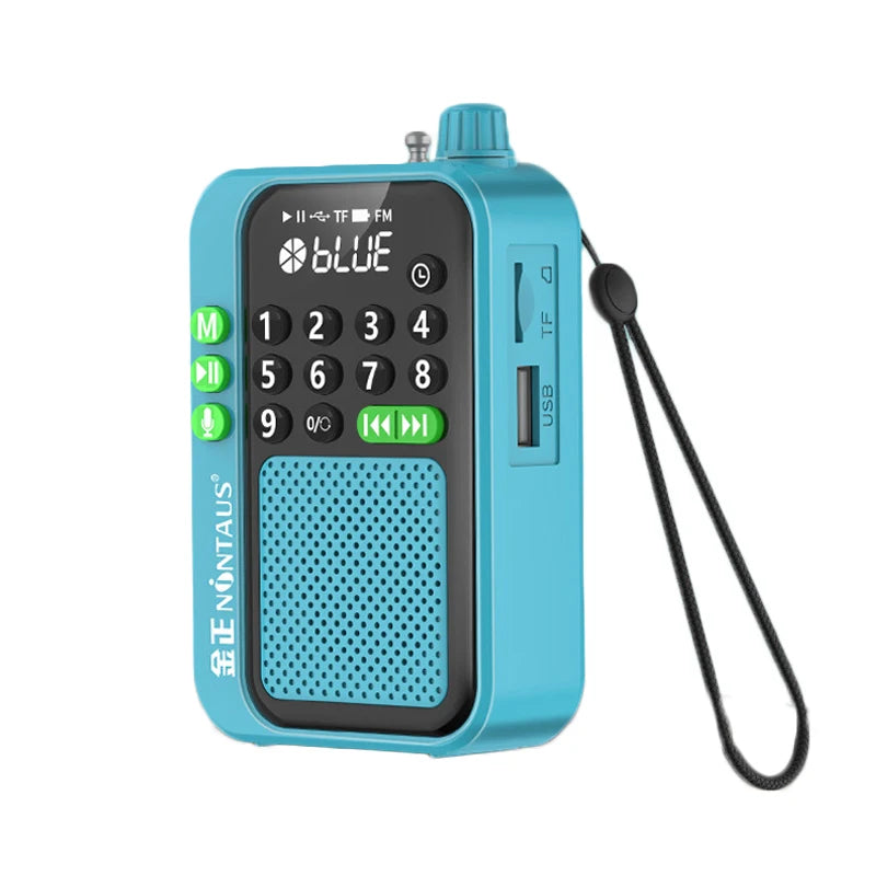 Radio FM de poche numérique avec Bluetooth — LED, enregistrement