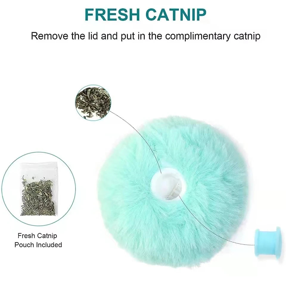 Balle Interactive Intelligente pour Chat - 1 Stick d'Herbe à Chat OFFERT