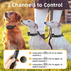 Collier de dressage électrique avec télécommande pour chien
