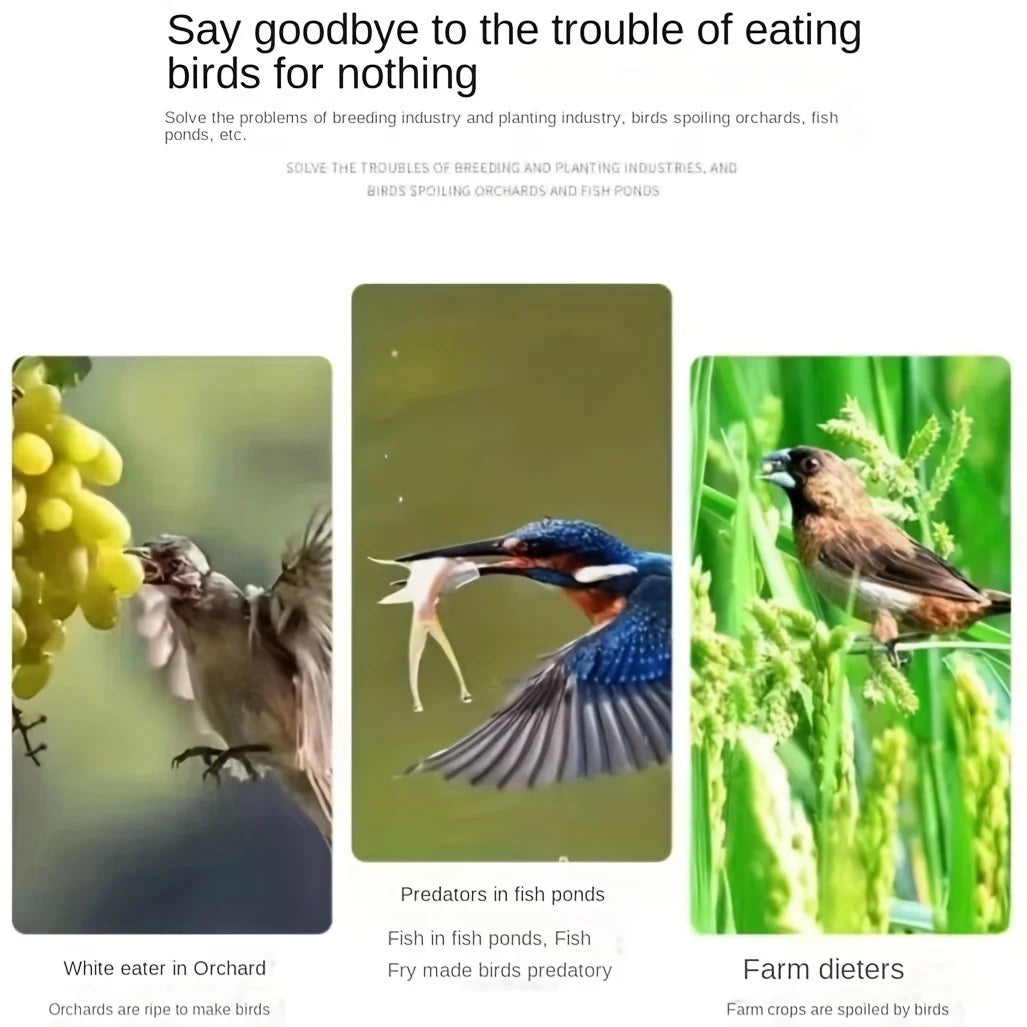 Filet pour Arbre Fruitier et Vignes Anti-oiseaux et Grêle