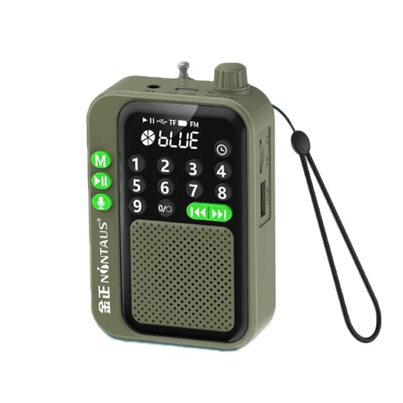 Radio FM de poche numérique avec Bluetooth — LED, enregistrement