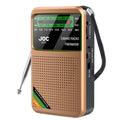 Radio de Poche 3 Bandes Rechargeable
