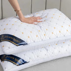 Oreiller Orthopédique pour Soutien Cervical & Aide au Sommeil