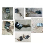 Pièges Réutilisables Attrape-rats
