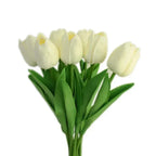 Blanc cassé