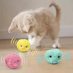 Balle Interactive Intelligente pour Chat - 1 Stick d'Herbe à Chat OFFERT