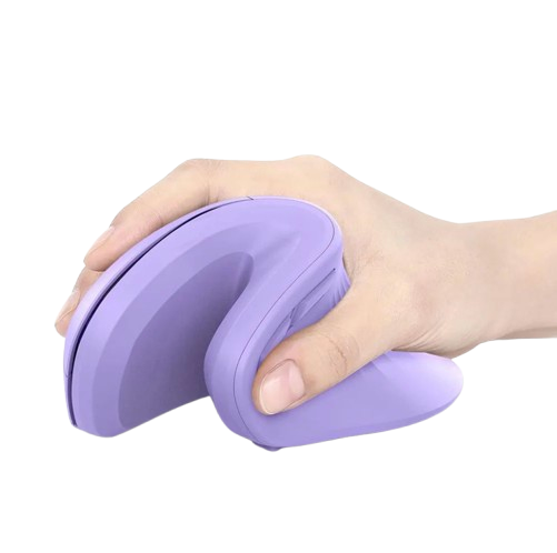Souris Sans fil Ergonomique Anti-Douleurs