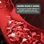 Écouteurs Auriculaires Infrarouge 650nm - Multiples Bienfaits