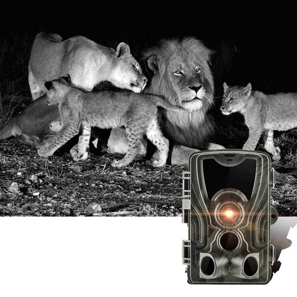 Caméra de chasse 20 MPX avec vision nocturne