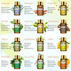Diffuseur d'huiles essentielles+ 10 filtres OFFERTS